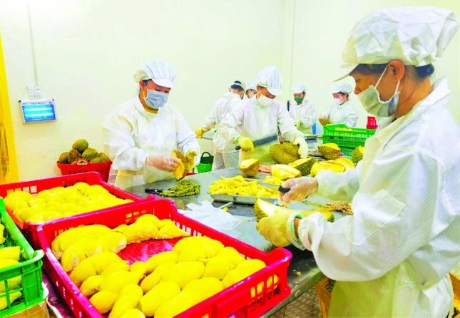 anh-4-1-5754-1697367873360-1697367873652773935162 anh-4-1-5754-1697367873360-1697367873652773935162.png