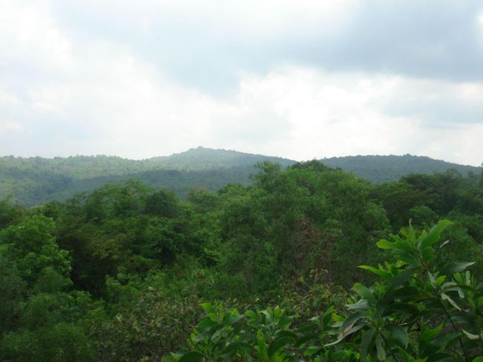 b3b0b08070cd9993c0dc Rừng phòng hộ Núi Cậu tại huyện Dầu Tiếng tỉnh Bình Dương.