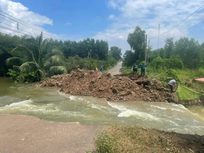 ca8a6e99abd4428a1bc5 Hơn 10m cống trên đường 12, ấp 5 xã Tân Lập, huyện Đồng Phú bị sập hoàn toàn, giao thông bị chia cắt.