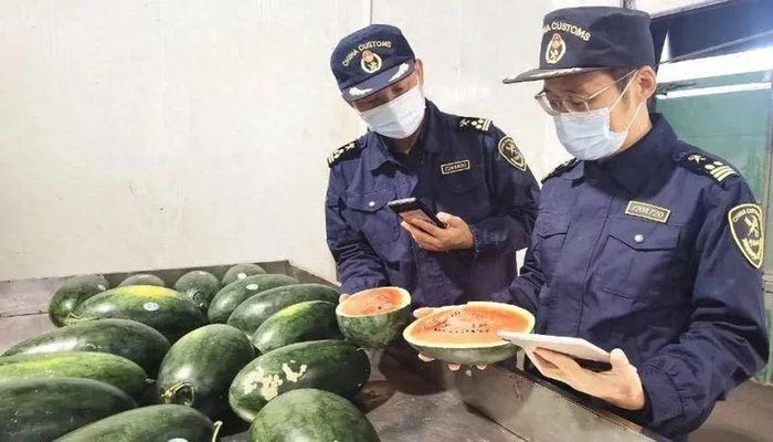 Trung Quốc thông báo nhập khẩu chính ngạch dưa hấu Việt Nam