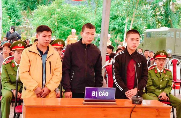 3 thanh niên bị phạt tù vì lấy trộm cáp điện trị giá hơn 2 triệu đồng