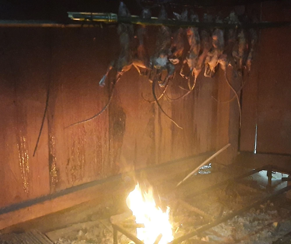 Chuột "quý tộc" được sơ chế, sau đó cất trên giàn bếp. Ảnh: VD z5145728416432-10fa55eccd9c872656fe678486ae7117-850.jpg