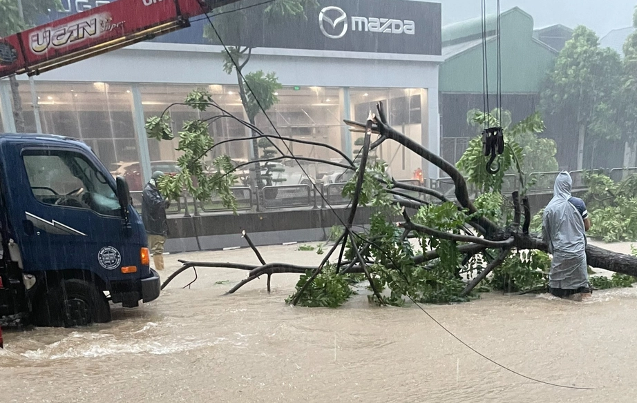 Quảng Ninh khắc phục các điểm sạt lở giao thông, du khách từ đảo về đất liền thuận lợi- Ảnh 1.