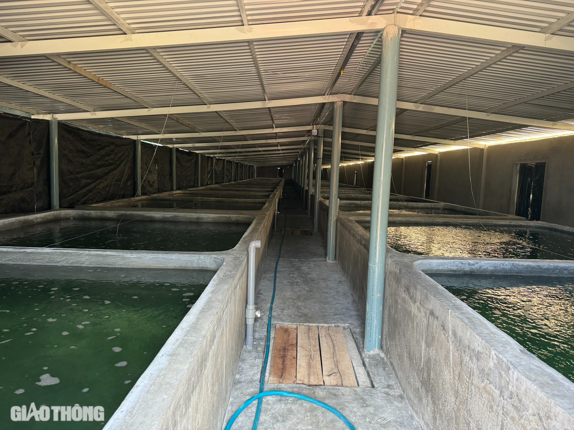 Bình Định: Công trình trái phép rộng hàng nghìn m2, cam kết tháo dỡ lại "phình" to- Ảnh 1. Bình Định: Công trình trái phép rộng hàng nghìn m2, cam kết tháo dỡ lại "phình" to- Ảnh 1.