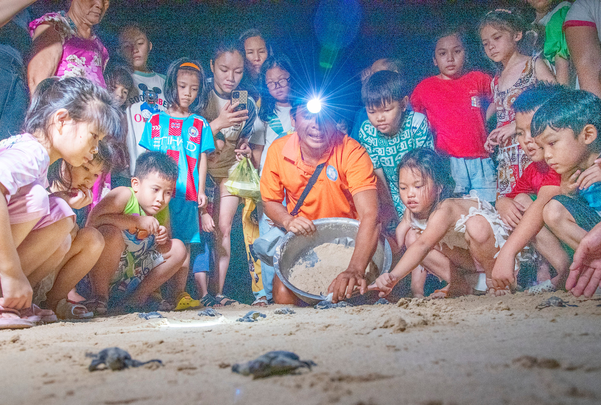 “Mật ngữ” từ rùa biển