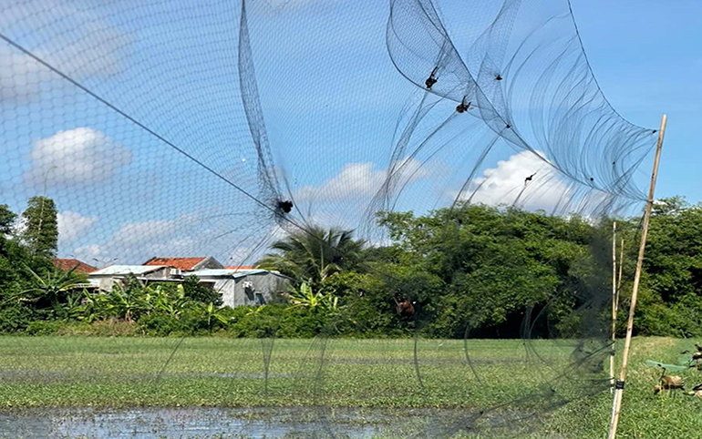 Gian nan hành trình ngăn chặn nạn săn bẫy chim yến