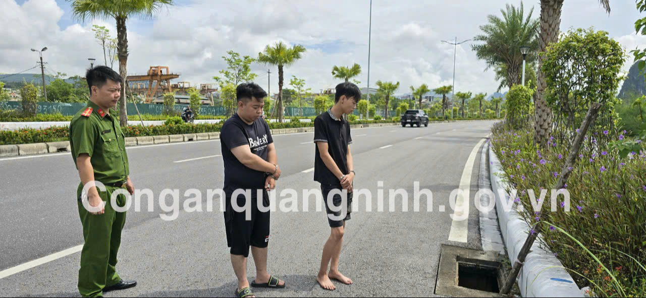 Bất ngờ lời khai của nhóm bảo vệ chuyên trộm cắp trên đường bao biển Hạ Long - Cẩm Phả- Ảnh 1. Bất ngờ lời khai của nhóm bảo vệ chuyên trộm cắp trên đường bao biển Hạ Long - Cẩm Phả- Ảnh 1.