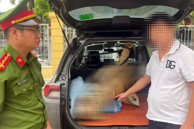 Khởi tố tài xế giấu bộ da hổ nhồi bông trong xe ô tô- Ảnh 1. Khởi tố tài xế giấu bộ da hổ nhồi bông trong xe ô tô- Ảnh 1.