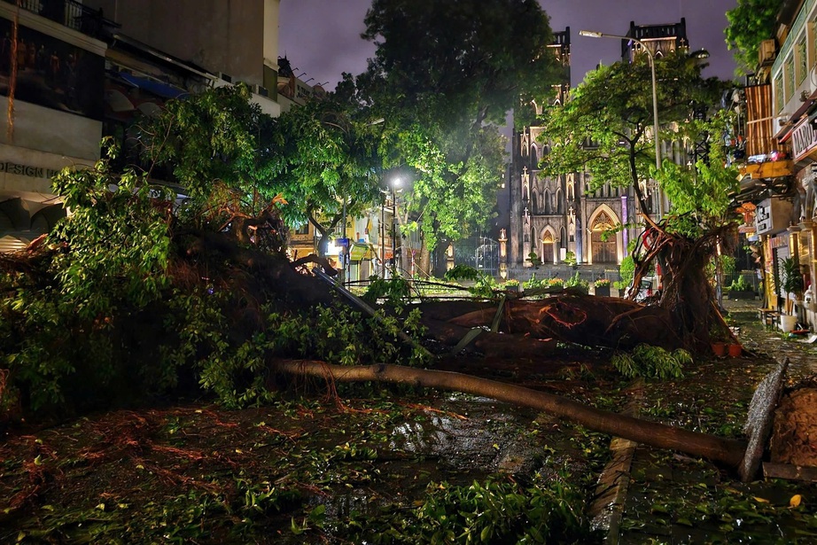 Cứu cây xanh Hà Nội- Ảnh 1. Cứu cây xanh Hà Nội- Ảnh 1.