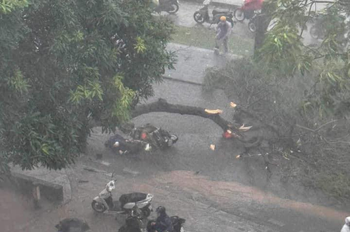 Hà Nội: Cơn giông đầu của bão Yagi, cây đổ trúng 2 người đi đường, 1 người tử vong- Ảnh 1. Hà Nội: Cơn giông đầu của bão Yagi, cây đổ trúng 2 người đi đường, 1 người tử vong- Ảnh 1.