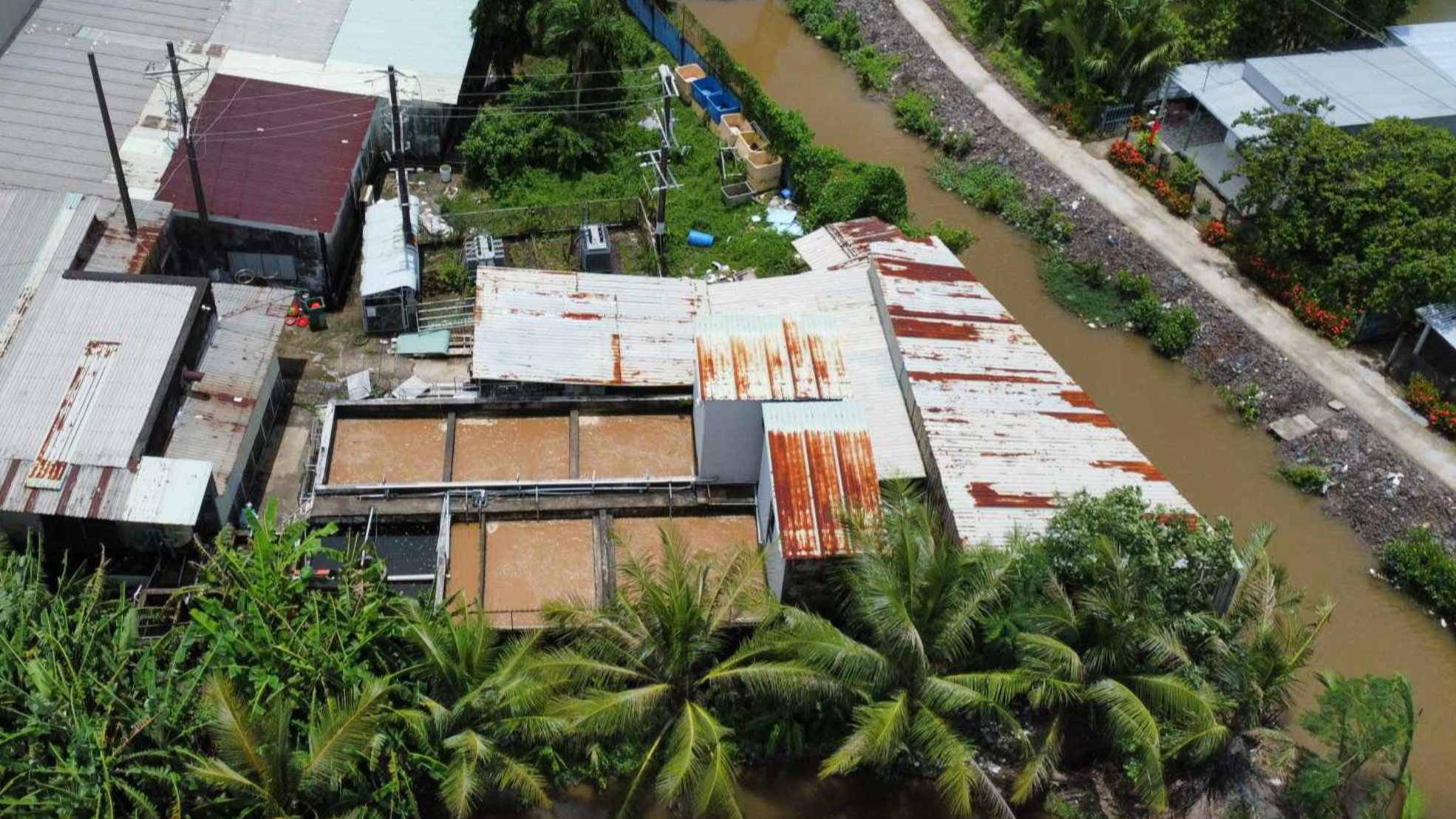 Vì sao Cà Mau còn nhiều quyết định xử phạt hành chính chưa thi hành?- Ảnh 1.