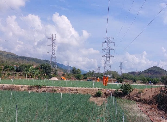 hoan-thanh-di-doi-2-diem-giao-cheo-duong-day-220kv-mach-kep-tuy-hoa-van-phong_66d7dac82c04e Hạ dây, rải căng dây mới, lấy lại độ võng tại khoảng cột 220A - 221 đường dây 220kV mạch kép Tuy Hòa - Vân Phong