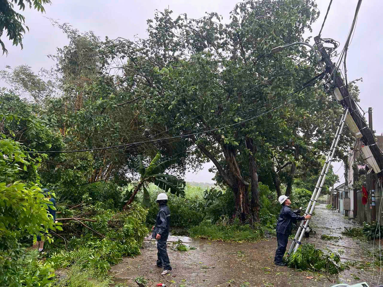Điện lực Hà Nội khẳng định không cắt điện trong bão số 3 Yagi- Ảnh 1. Điện lực Hà Nội khẳng định không cắt điện trong bão số 3 Yagi- Ảnh 1.