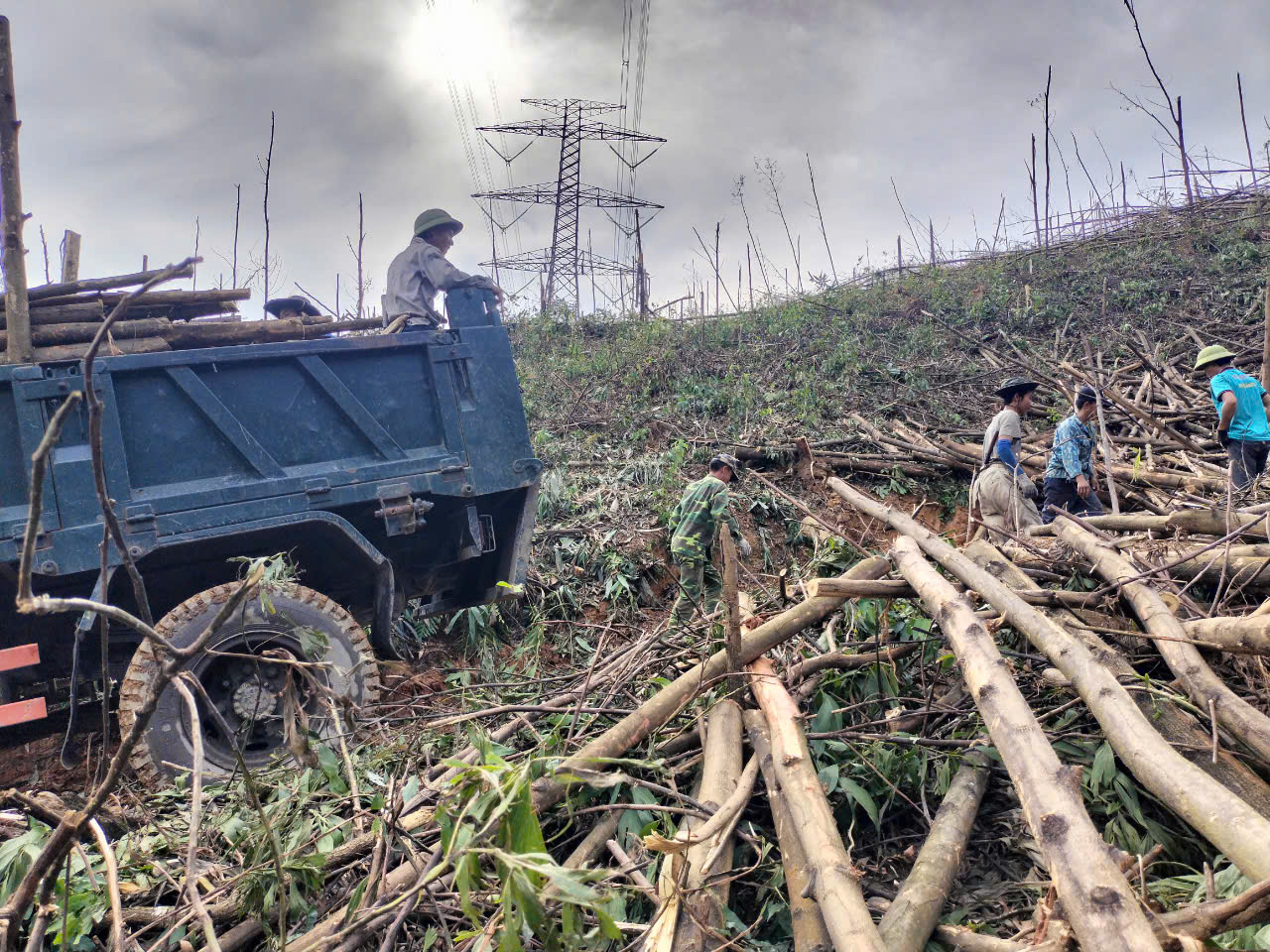Quảng Ninh đề nghị các ngân hàng hỗ trợ khách bị thiệt hại do bão số 3- Ảnh 1. Quảng Ninh đề nghị các ngân hàng hỗ trợ khách bị thiệt hại do bão số 3- Ảnh 1.