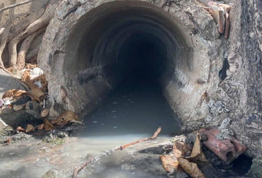 Chủ quán ốc bị phạt hơn 300 triệu đồng vì xả thải ra bãi biển Vũng Tàu- Ảnh 1.