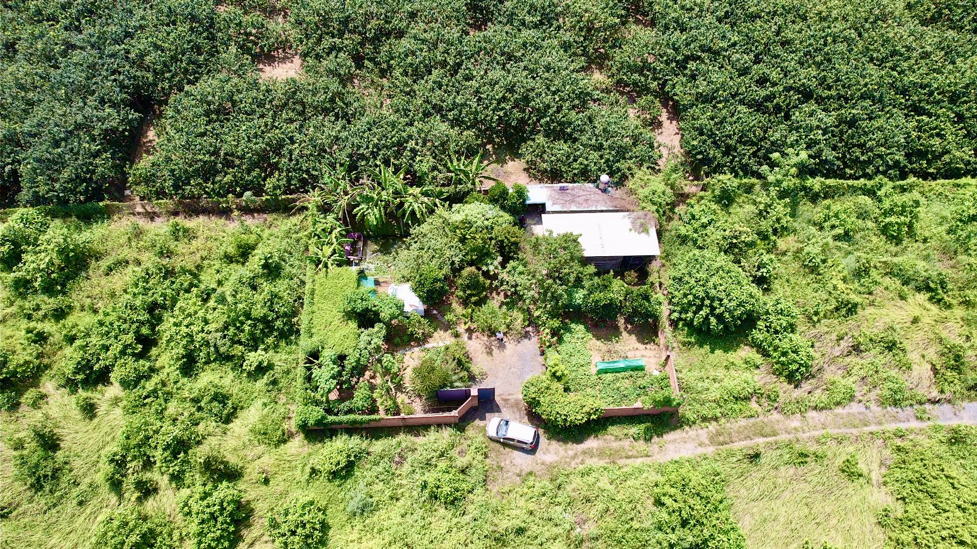 Đồng Nai chính thức cho xây dựng công trình trên đất nông nghiệp- Ảnh 1. Đồng Nai chính thức cho xây dựng công trình trên đất nông nghiệp- Ảnh 1.