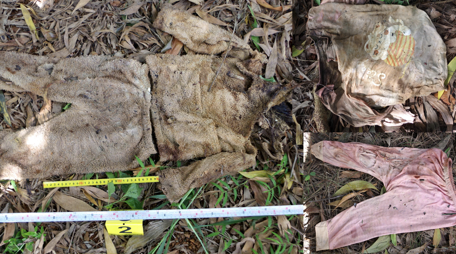 Truy tìm tung tích thi thể bé gái đang phân hủy, mặc áo hình thú- Ảnh 1. Truy tìm tung tích thi thể bé gái đang phân hủy, mặc áo hình thú- Ảnh 1.