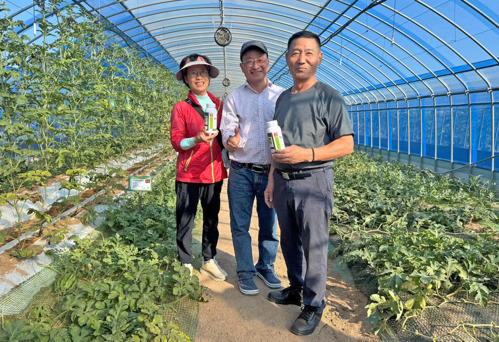 Kỹ sư diệt sâu bằng vỏ quế kiếm trăm tỷ- Ảnh 1.