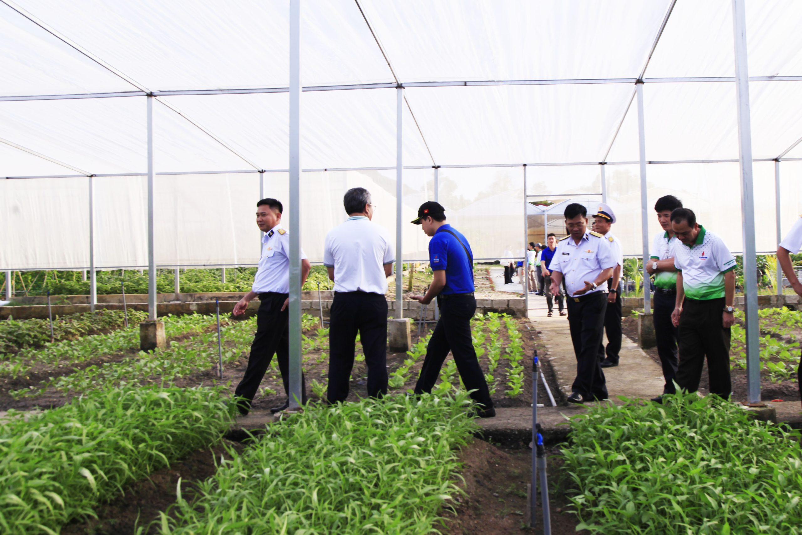 Đoàn công tác Nhà máy Đạm Phú Mỹ thăm, chúc mừng cán bộ, chiến sỹ Lữ đoàn 162