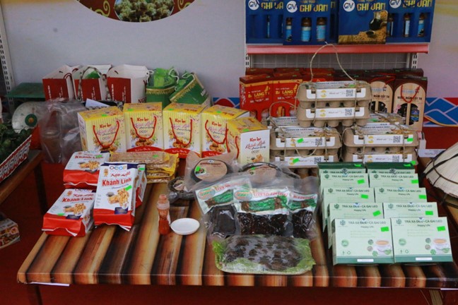 Thanh Hóa – Giao lưu kết nối, giới thiệu mô hình sinh kế hòa nhập cộng đồng cho nạn nhân mua bán người