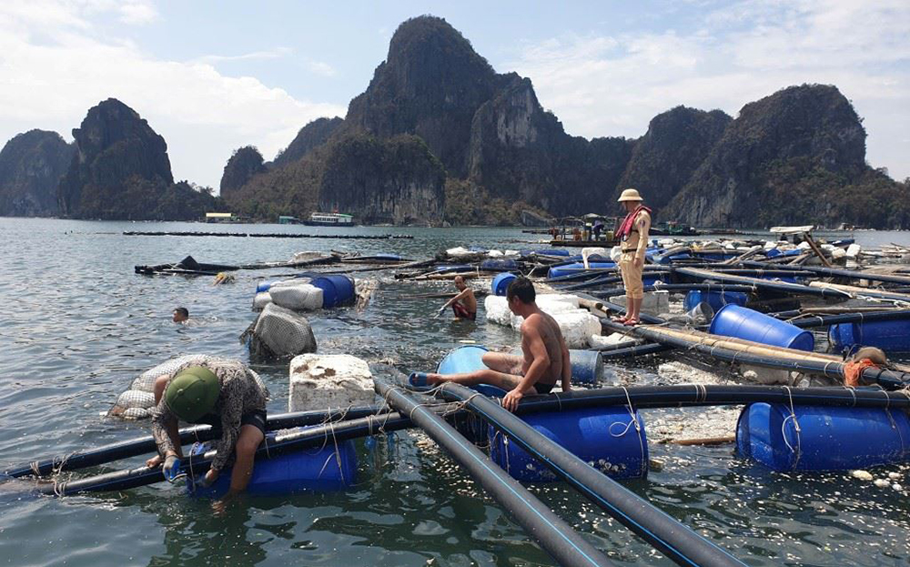 Cơ cấu lại thời hạn trả nợ đối với khách hàng thiệt hại vì bão Yagi- Ảnh 1.