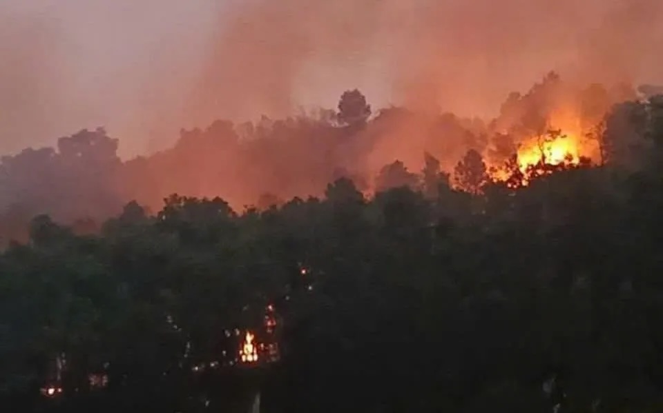 Hà Nội đề nghị công an vào cuộc điều tra các vụ cháy rừng tại huyện Sóc Sơn- Ảnh 1. Hà Nội đề nghị công an vào cuộc điều tra các vụ cháy rừng tại huyện Sóc Sơn- Ảnh 1.