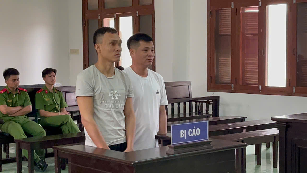 Đẩy gỗ xuống đường khiến công an bị thương, 3 lâm tặc lĩnh án tù- Ảnh 1.