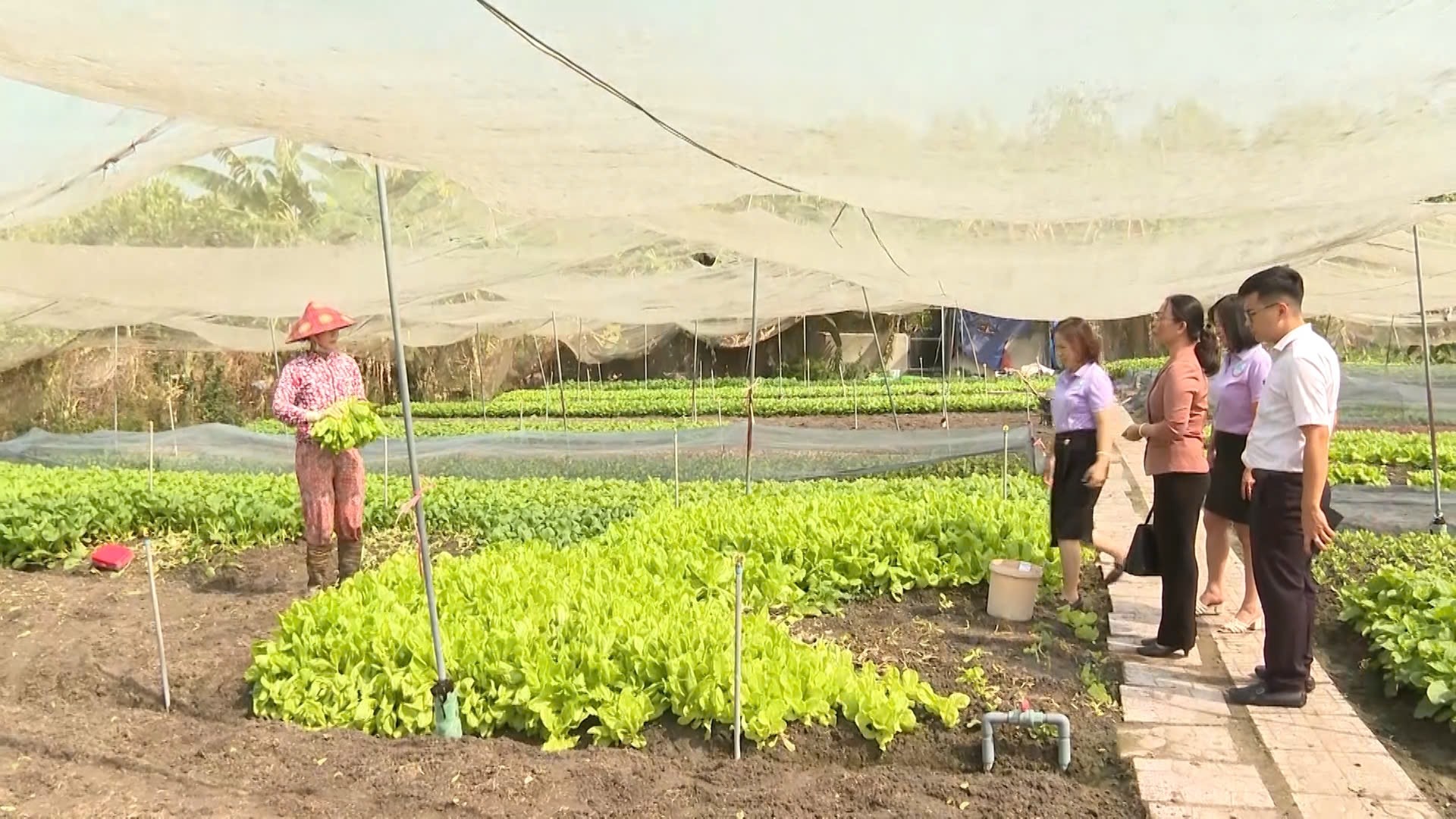 Chơn Thành: 5.795 hộ vay tín dụng Ngân hàng chính sách xã hội