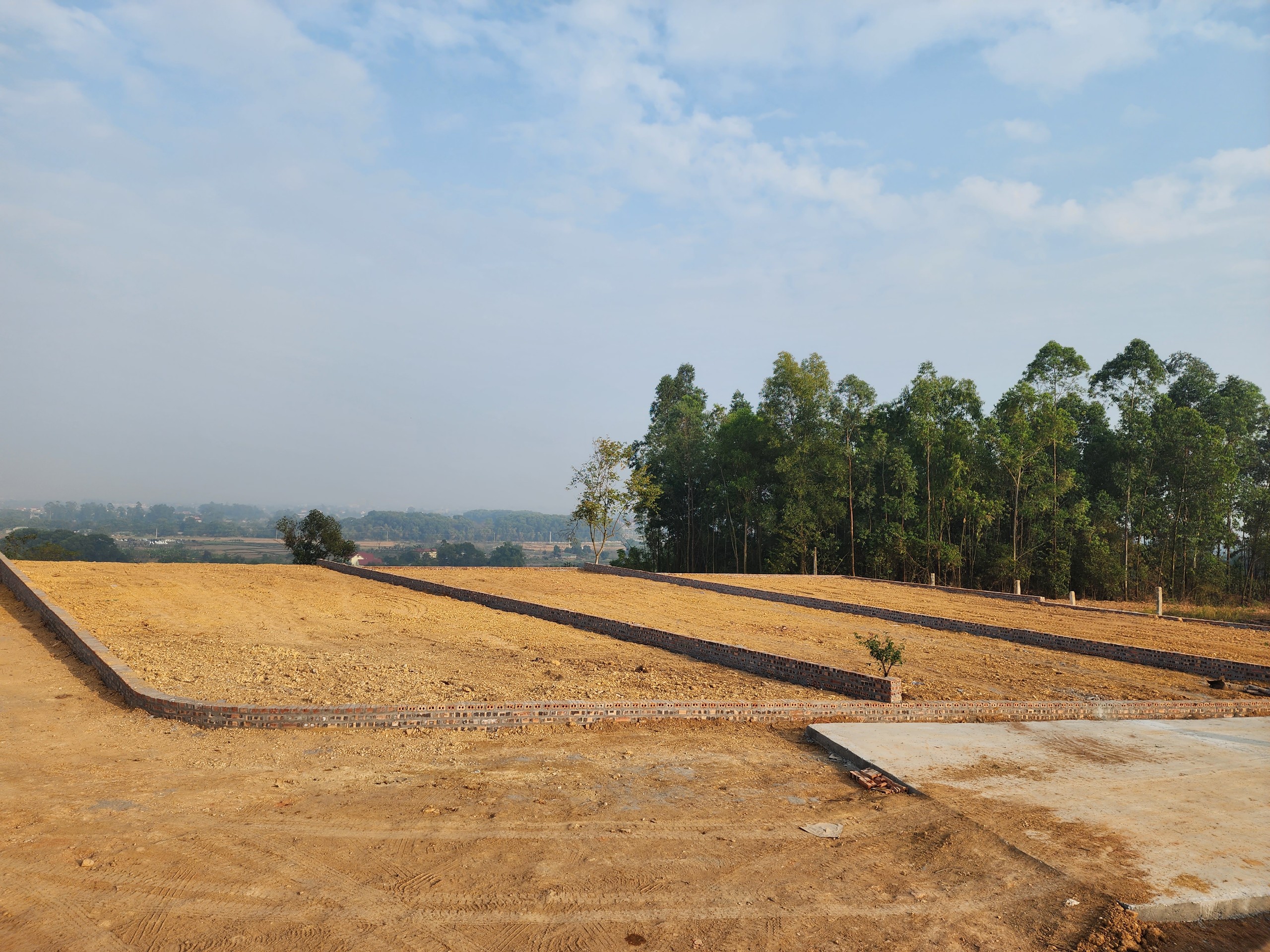 Cẩn trọng đu đỉnh theo "sốt đất"- Ảnh 1. Cẩn trọng đu đỉnh theo "sốt đất"- Ảnh 1.