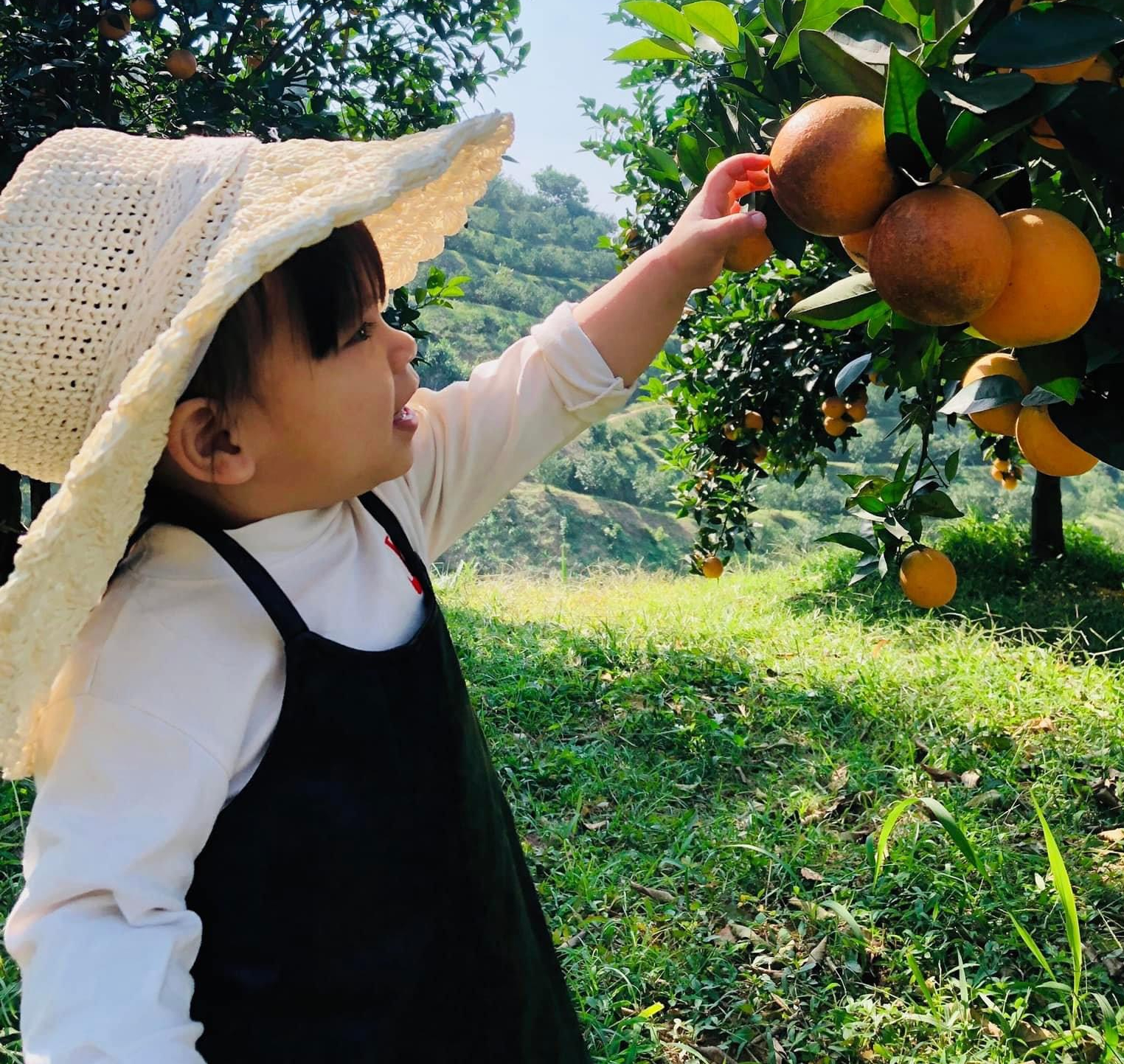 Đầu tư hạ tầng tạo đột phá phát triển Hòa Bình - Ảnh 1. Đầu tư hạ tầng tạo đột phá phát triển Hòa Bình - Ảnh 1.