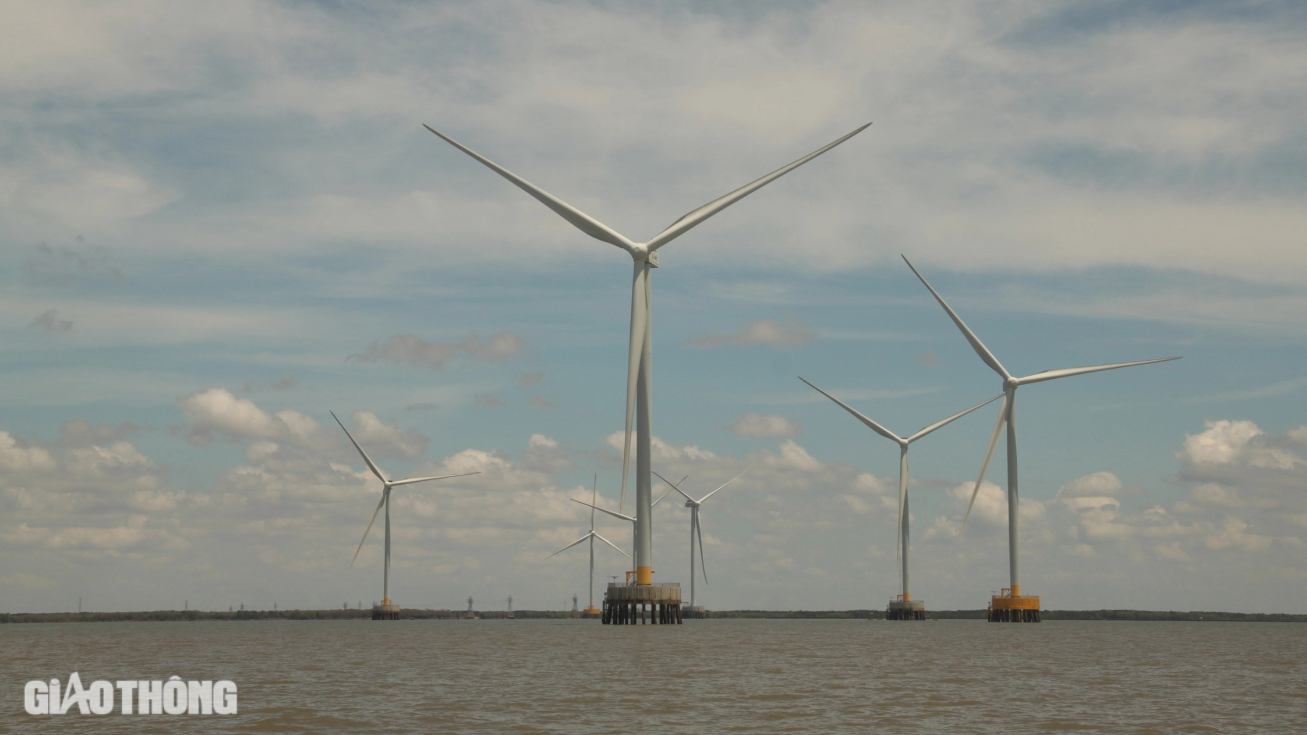 Cà Mau phấn đấu đến năm 2040 xuất khẩu điện từ năng lượng tái tạo 5.000MW- Ảnh 1. Cà Mau phấn đấu đến năm 2040 xuất khẩu điện từ năng lượng tái tạo 5.000MW- Ảnh 1.