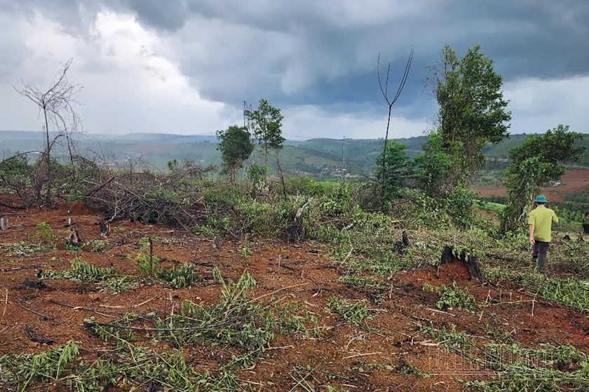 Hiện trường nơi xảy ra vụ việc. Ảnh VL