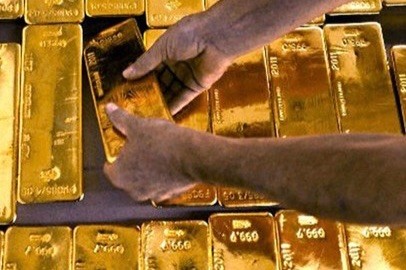 img-5217-4683-9509 Ảnh minh hoạ.