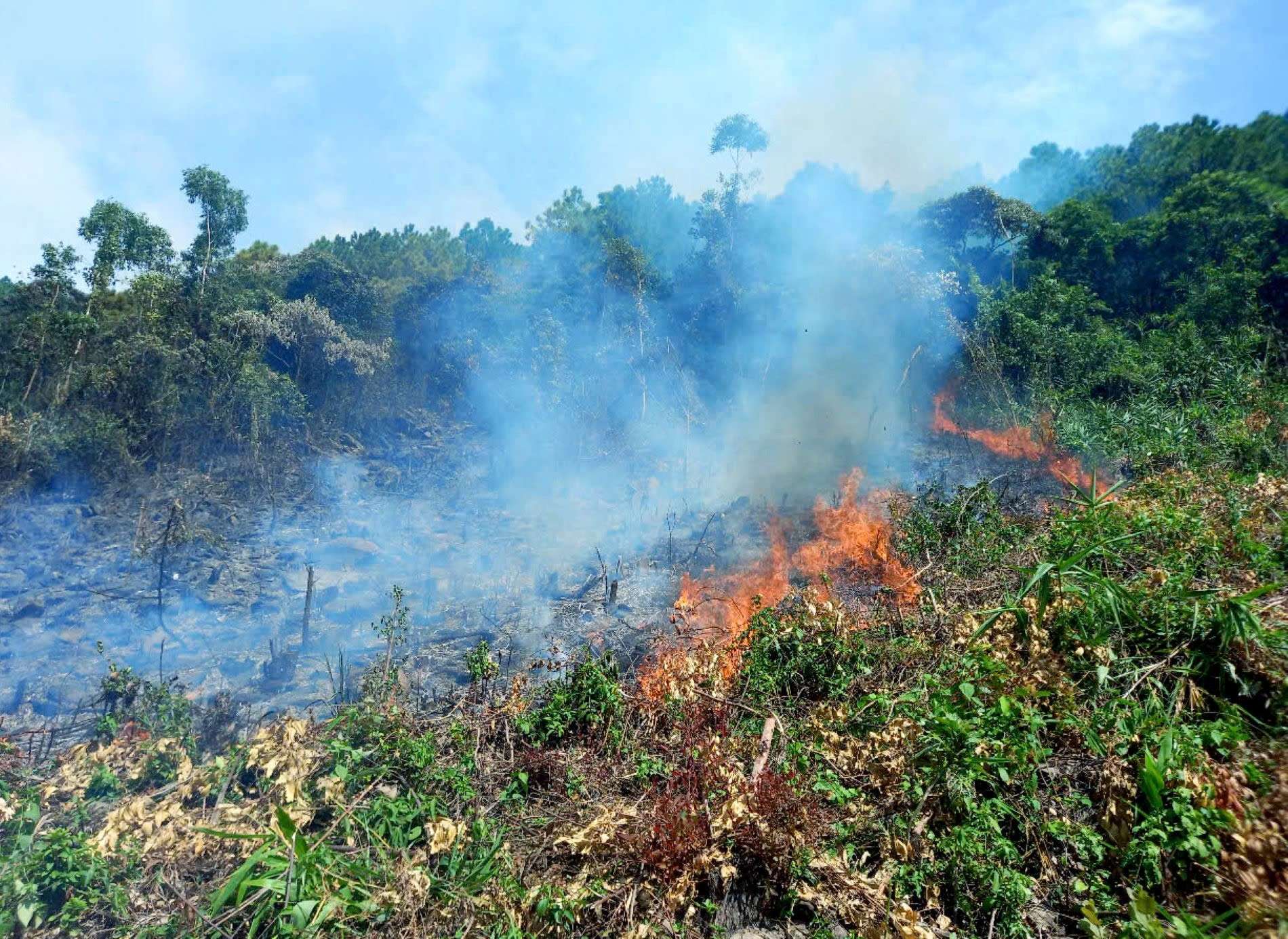 Cán bộ, chiến sĩ Vùng 3 Hải quân giúp nhân dân chữa cháy rừng