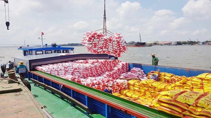 Dự báo giá lúa gạo sẽ sớm tăng trở lại do nhu cầu còn cao