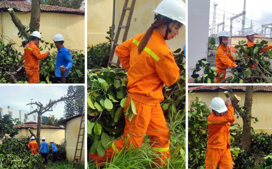 PTC1 vào cuộc ứng phó khẩn cấp với siêu bão YAGI