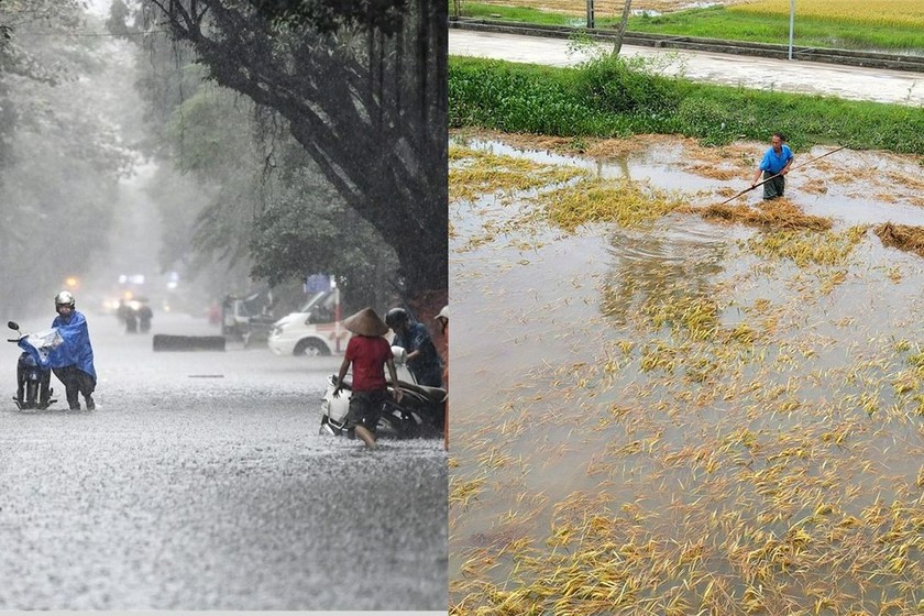 Ứng phó với thời tiết ngày càng cực đoan, bất thường: Tạo điều kiện để tư nhân và cộng đồng đầu tư vào thích ứng khí hậu
