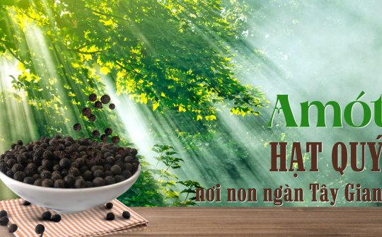 Amót – Hạt quý nơi non ngàn Tây Giang