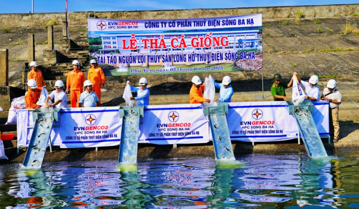 Hưởng ứng Ngày Môi trường thế giới: Thủy điện Sông Ba Hạ thả cá giống tái tạo nguồn lợi thủy sản