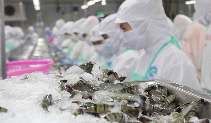 Hoa Kỳ ban hành kết luận sơ bộ rà soát POR19 giai đoạn từ 01/02/2023 đến 31/01/2024