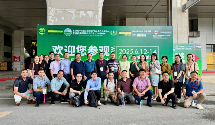 Thúc đẩy xuất khẩu gạo Việt Nam sang Trung Quốc ổn định, bền vững