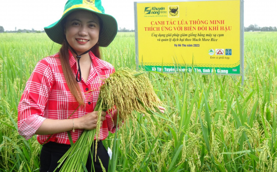 Thực trạng Can-xi (Ca) đất lúa vùng đồng bằng sông Cửu Long từ kết quả chương trình “Canh Tác Lúa Thông Minh”