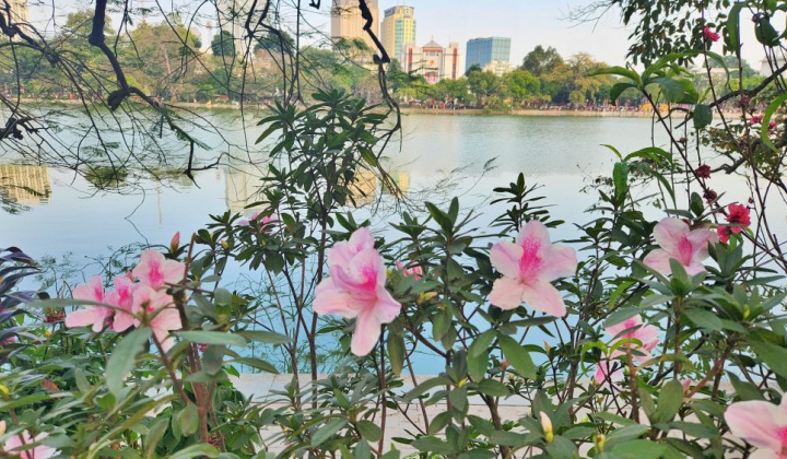 Hà Nội nói không với sản phẩm nhựa sử dụng một lần từ 1/1/2031